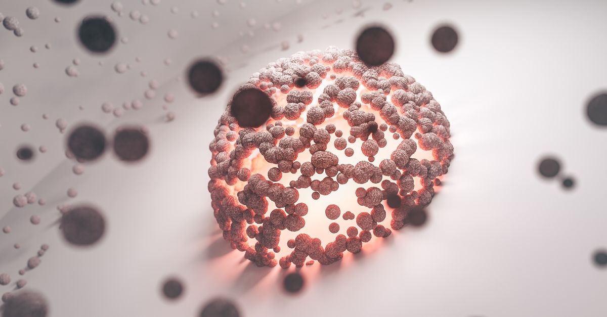 Understanding Yeast Infections: Causes, Symptoms, and Treatments