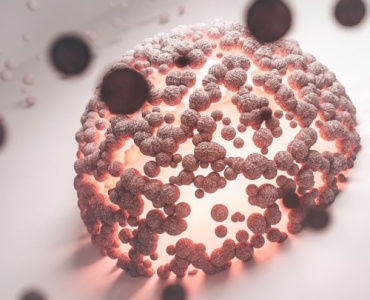 Understanding Yeast Infections: Causes, Symptoms, and Treatments